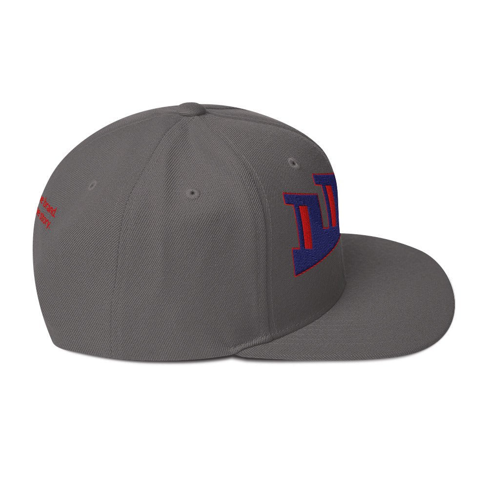 The DDIB Snapback | Future - Blue & Red | Dads Do It Best - Dads Do It Best